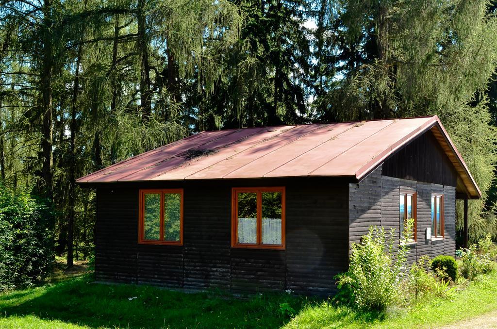 Camp Vary - Vitkova Hora - Veitsberg Karlsbad Værelse billede